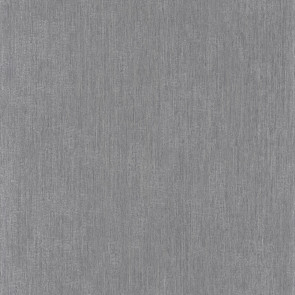 Casamance - Synopsis - Focus - 73720222 Gris