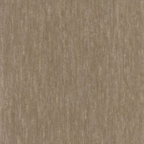 Casamance - Synopsis - Instantane - 73790442 Beige Fonce