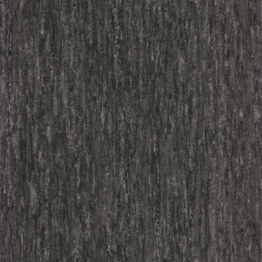 Casamance - Synopsis - Instantane - 73791258 Noir