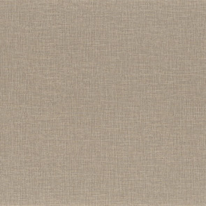 Casamance - La Toile - Filin - 74561324 Champagne