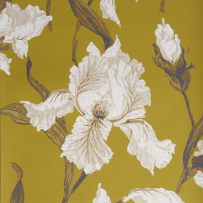 Casamance - Absolue - Irrésistible Iris Jaune 9530113