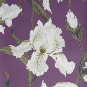 Casamance - Absolue - Irrésistible Iris Violet 9530312