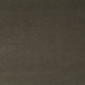 Chivasso - Velluto Di Cotone - CA1410/025
