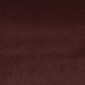 Chivasso - Well-Loved - CA1507/010