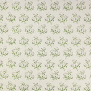 Colefax and Fowler - Bowood - F2328-06 Silver/Leaf
