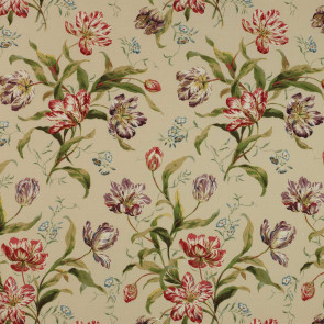 Colefax and Fowler - Delft Tulips - Red/Purple - F2823/02
