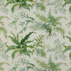Colefax and Fowler - Kendal - Leaf Green - F3217/01