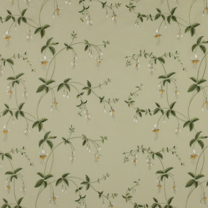 Colefax and Fowler - Viviers - Pale Leaf - F3513/03