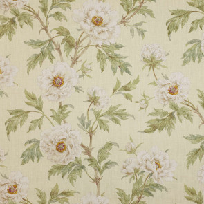 Colefax and Fowler - Tree Peony - Ivory/Leaf - F3527/01