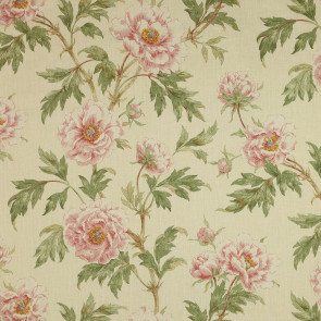 Colefax and Fowler - Tree Peony - Pink/Green - F3527/04