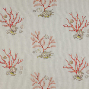 Colefax and Fowler - Atlantic - Natural - F3805/01