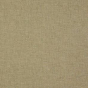 Colefax and Fowler - Appledore - Pale Leaf - F4139/04