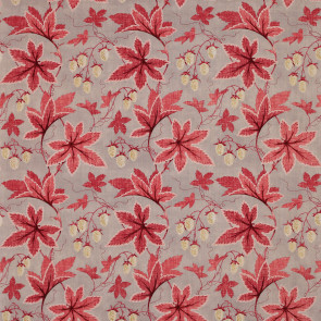 Colefax and Fowler - Lindon - Pink/Grey - F4332/04