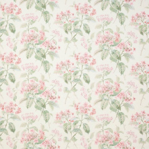 Colefax and Fowler - Eloise - Pink/Green - F4602/01
