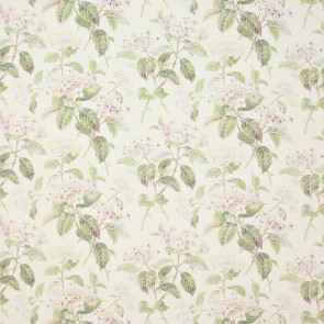 Colefax and Fowler - Eloise - Ivory/Green - F4602/03
