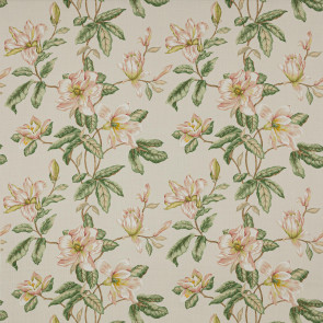 Colefax and Fowler - Imogen - F4778-02 Pink/Green