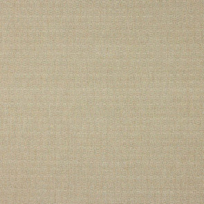 Colefax and Fowler - Finmere - F4848-05 Beige