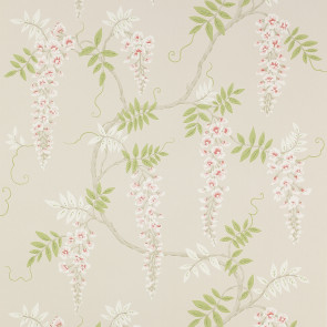 Colefax and Fowler - Jardine Florals - Grayshott - W7005-04 - Pink-Green