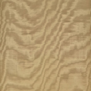 Dedar - Amoir Fou - T20007-019 - Bronzo