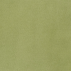 Designers Guild - Mezzola Lusso - Catkin - F1453-12