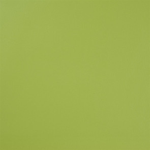 Designers Guild - Manso - Pistachio - F1675-05