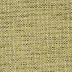 Designers Guild - Iona - Leaf - F1989-30