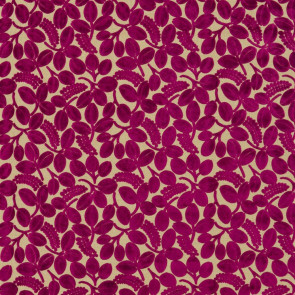 Designers Guild - Calaggio - Cassis - F2105-08