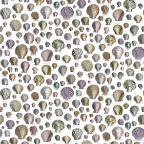 Designers Guild - Captain Thomas Browns Shells - FJD6003/02 Oyster