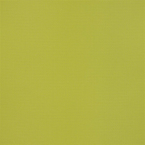 Designers Guild - Corbara - Lime - FT1863-10