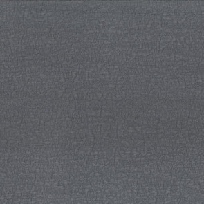 Dominique Kieffer - Reef - 17253-006 Gris