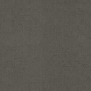 Dominique Kieffer - Fossile - 17267-005 Gris