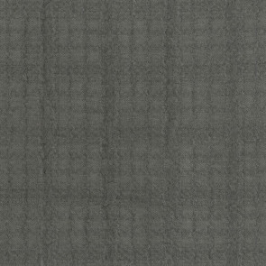 Dominique Kieffer - Tartagnan - 17284-005 Gris