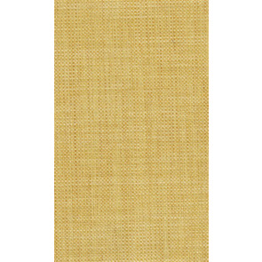 Osborne & Little - Papilio Plain 2 F5760-10