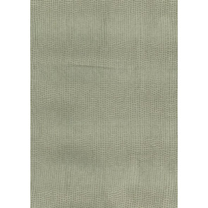 Osborne & Little - Bulla F6375-03
