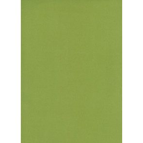 Osborne & Little - Tarva Moleskin F6421-19