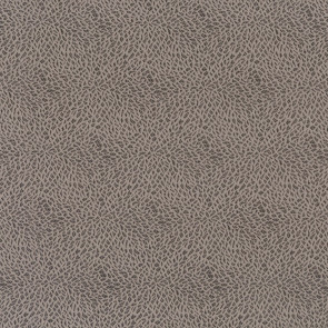 Osborne & Little - Macklin F6980-08