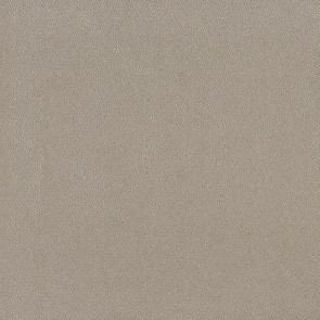 Osborne & Little - Langley F6981-05
