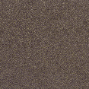 Osborne & Little - Langley F6981-14