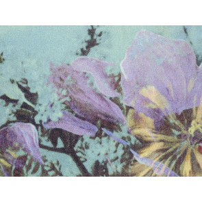 Jean Paul Gaultier - Botanique - 3459-01 Bleuet