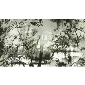 Jean Paul Gaultier - Brume - 3307-01 Ecru/Noir
