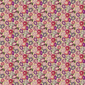 John Derian - Varietes De Gloxinia - FJD6001/01 Violet