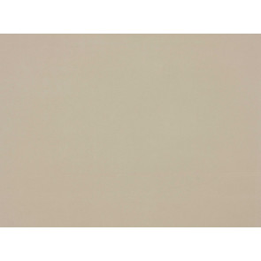 Kirkby Design - Dakota Suede - Shell K5018/02