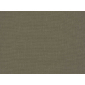 Kirkby Design - Zen - Catkin K5032/29