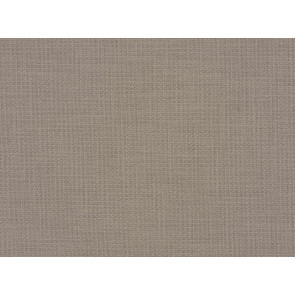 Kirkby Design - Loop - Vellum K5042/12