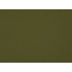 Kirkby Design - Edge - Grass K5062/26