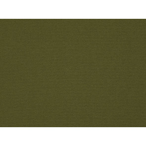 Kirkby Design - Edge - Grass K5062/26