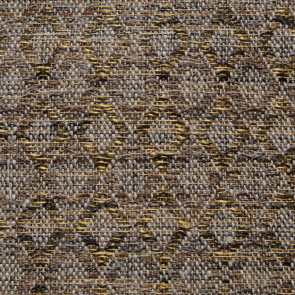 Le Crin - Galop C0476-005