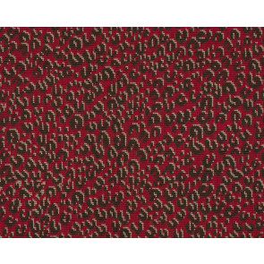 Le Manach - Serengeti - L4570006