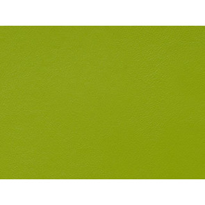 Lelievre - Velin 244-21 Olive