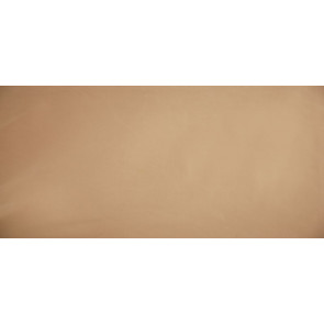 Lelievre - Nickel 296-11 Camel
